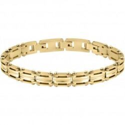 PULSEIRA ENERGY SECTOR