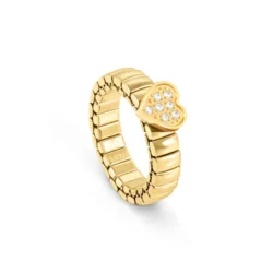 ANEL NOMINATION EXTENSION