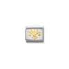 LINK NOMINATION FLOR DE LIS